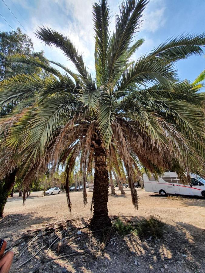 Apartamento Belsol Torrevieja Exterior foto